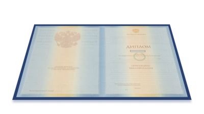 Диплом магистра 2009-2010