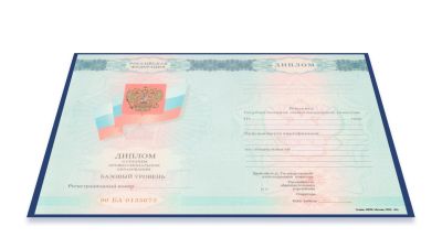 Диплом колледжа 2008-2010